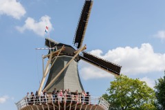 2026-05-09_121516