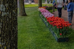 2026-05-09_124244